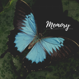 Calm music for relax, meditate, yoga, spa and massage.