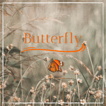 Orchestral with a piano melody like butterflies dancing