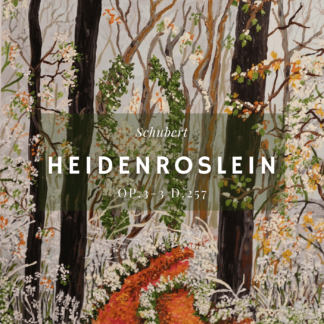 Schubert Heidenroslein Op.3-3 D.257
