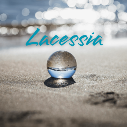 Lacessia