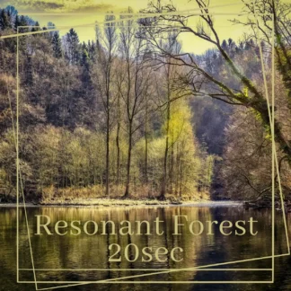 Resonant Forest(20sec)|Healing background music with soft strings and transparent tones, ideal for meditation and yoga videos|TRIAD WALK
